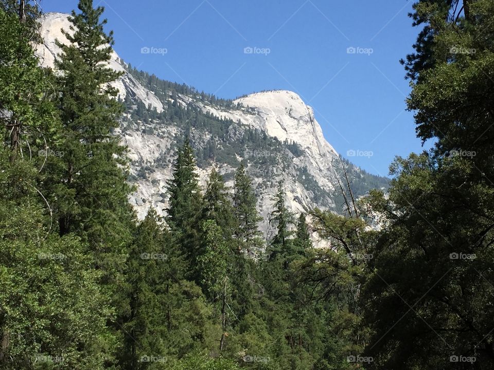 Big top at the Yosemite