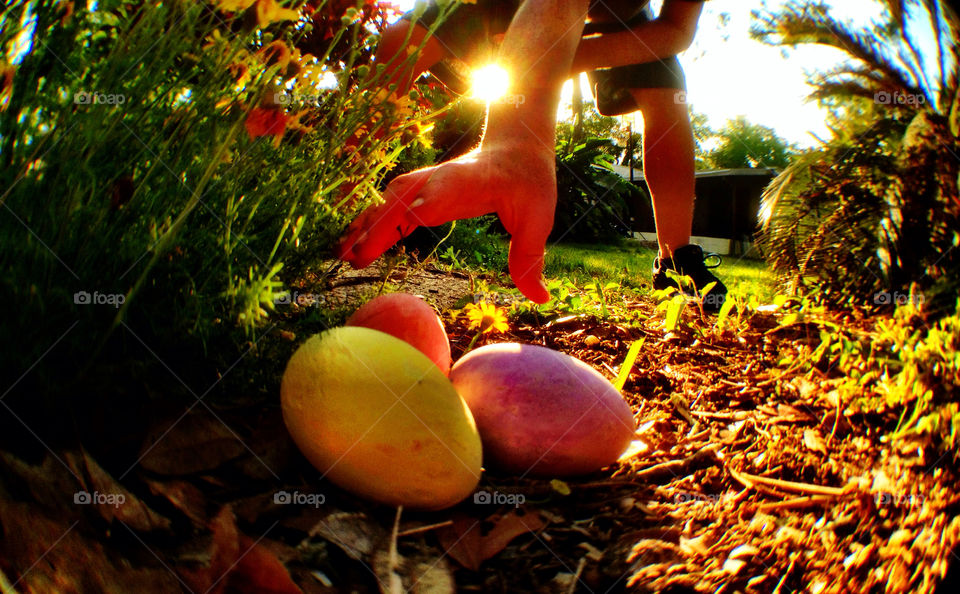 A child reaches for colorful eggs during an Easter egg hunt