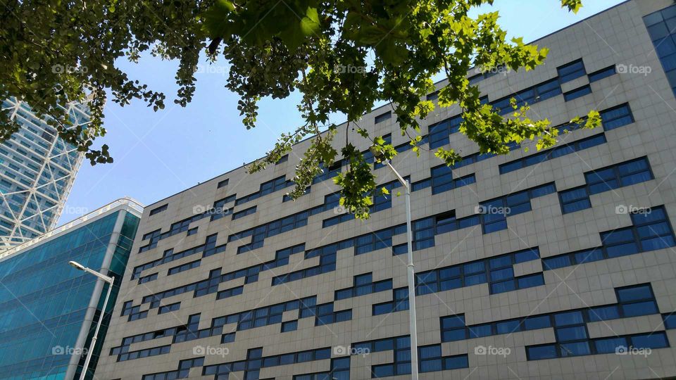 Building with rectangular windows