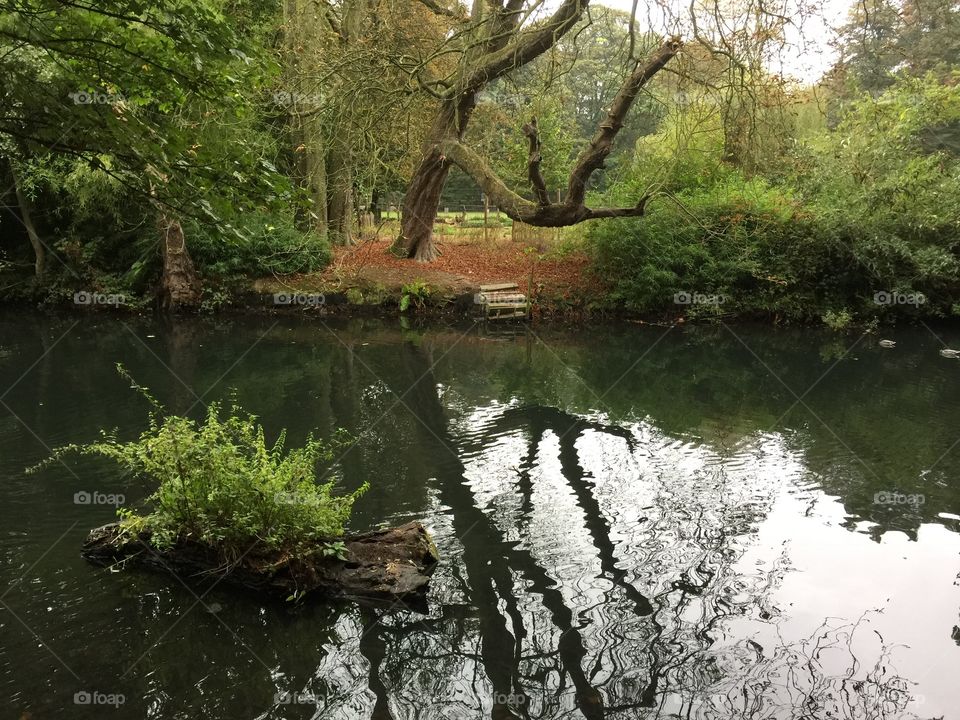 Landscape in Antwerp