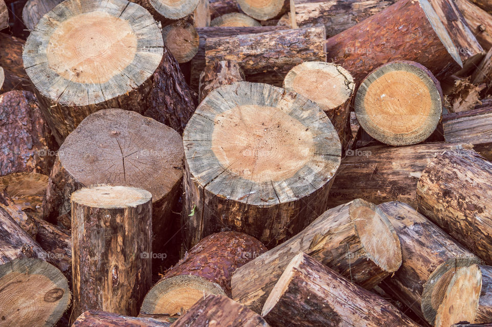 Wood, firewood, countryside, rural