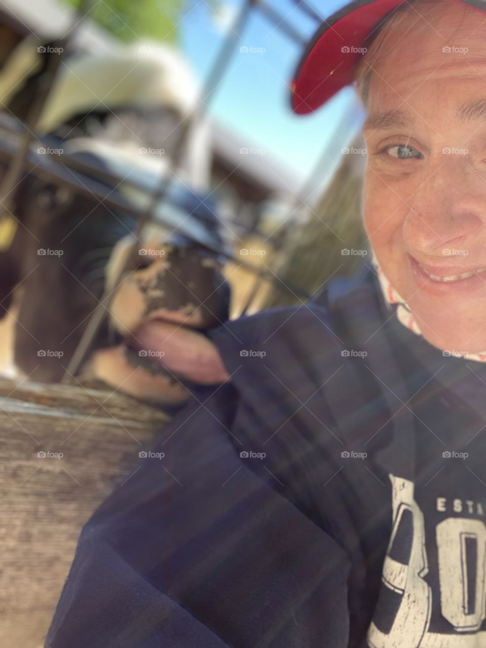 When you think a friendly cow is willing to be in your selfie, but he is just trying to do a taste test.  