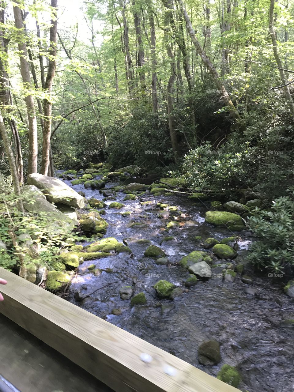 Wood, Water, Nature, River, Landscape