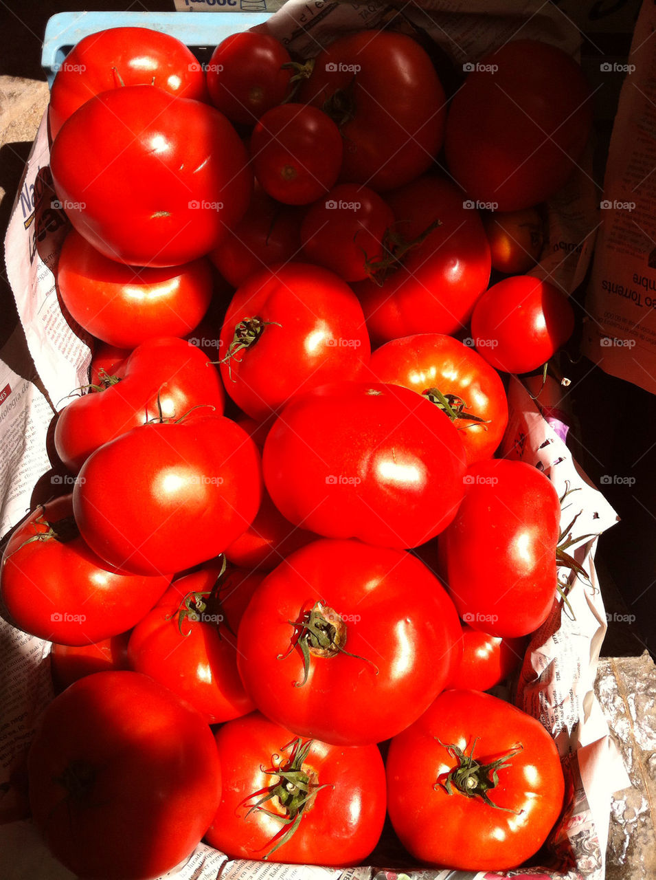 red tomato salad spain by javierrecuero