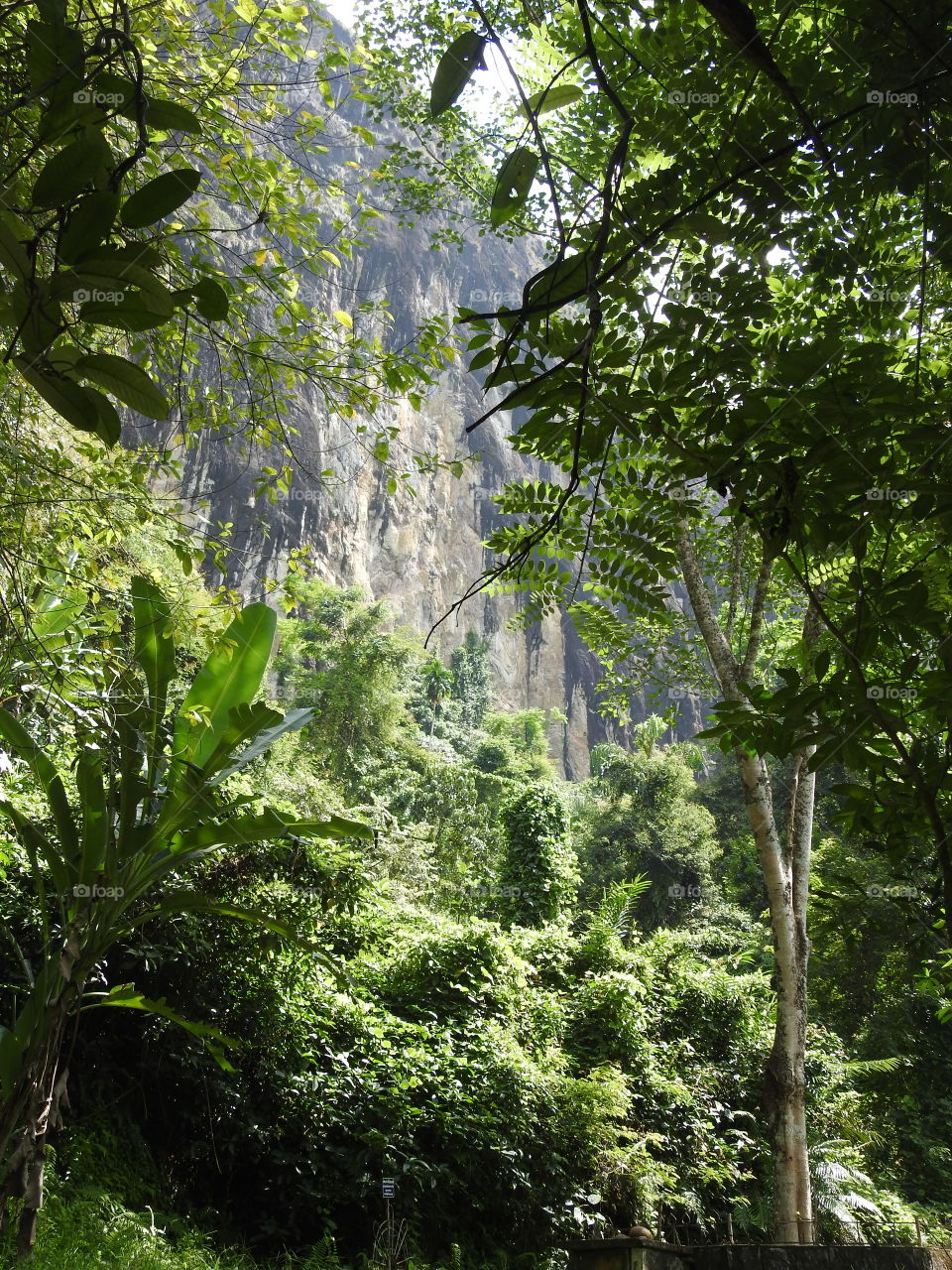 A Telescopic view of a mountain through the greenary ⛰️👍