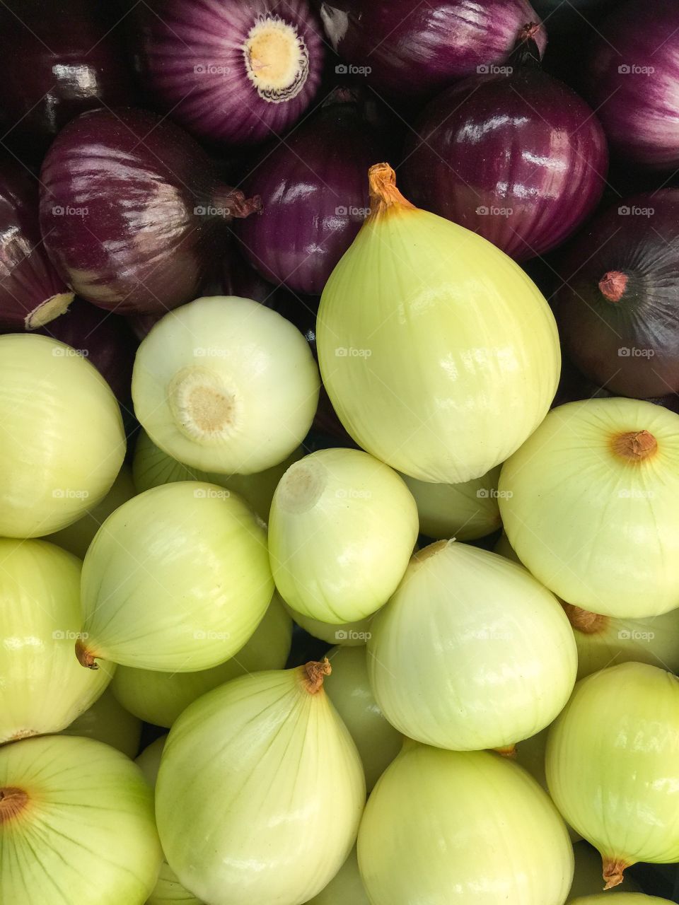 Full frame of onions