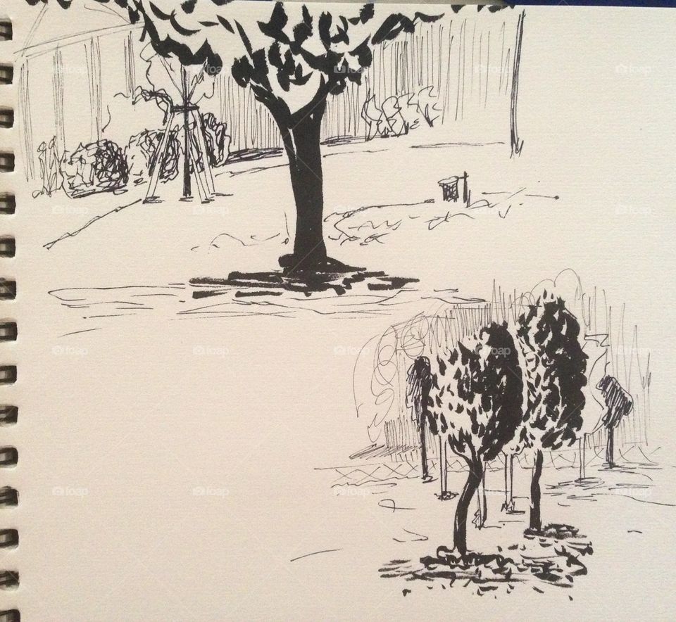 Sketch trees 