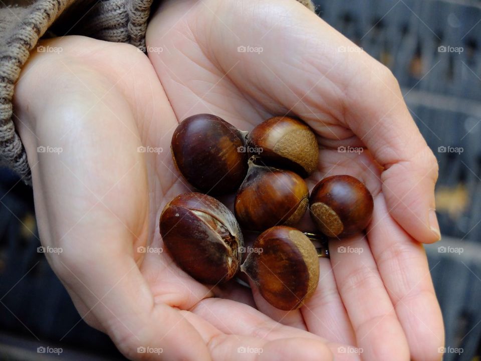 Chestnuts on offer