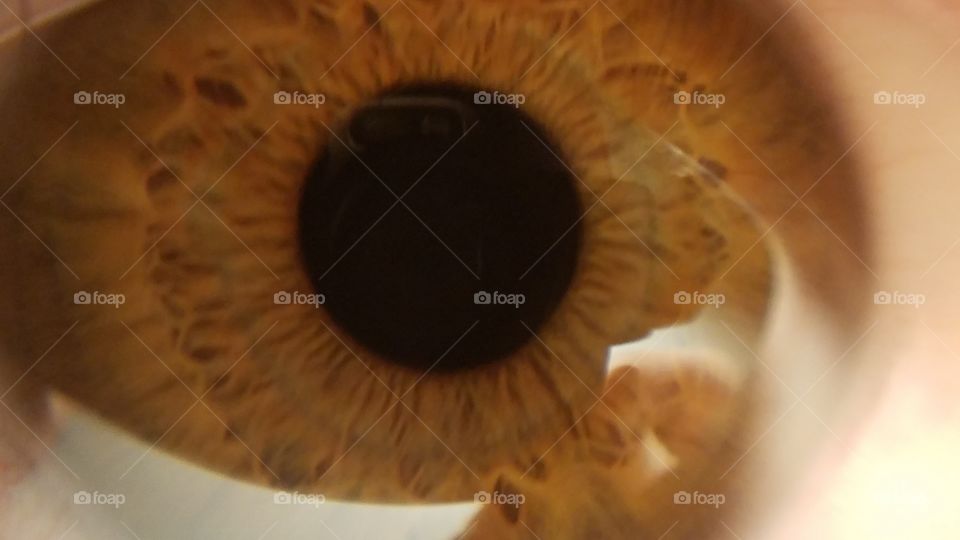 macro eye