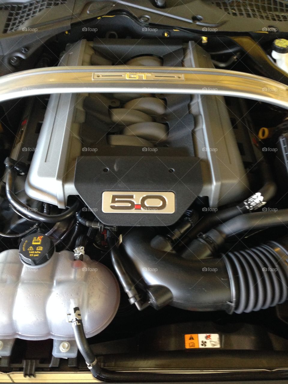 Ford 5.0 l engine. Muscle car engine