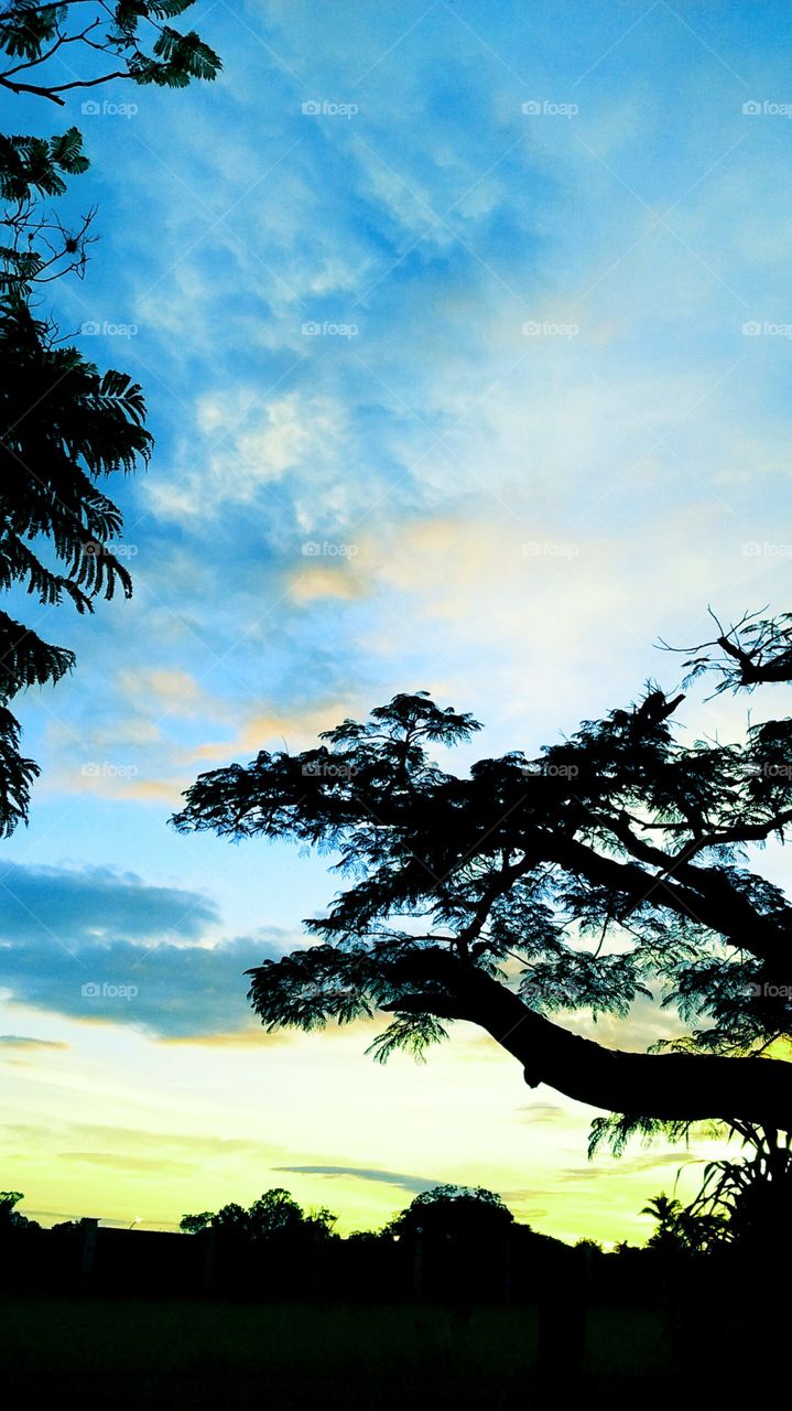 07H - AMANHECENDO... a beleza da natureza sempre nos inspira!
📸
#Fotografia é nosso #hobby
#paisagem #natureza #amanhecer #morning #Jundiaí