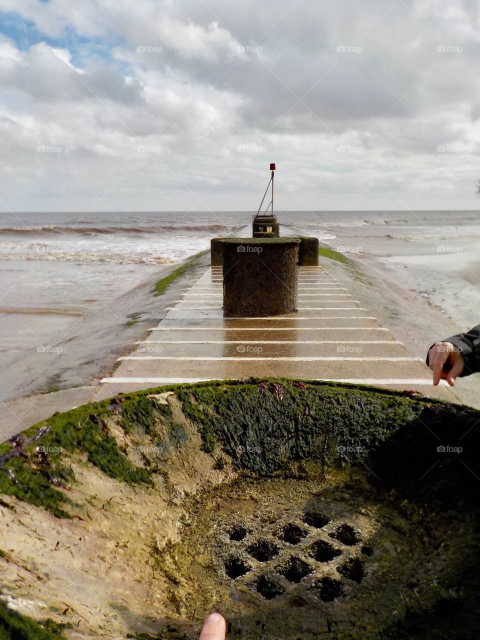 Mossy stuff in Mablethorpe 