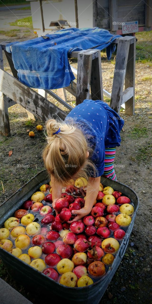 Food, Fruit, Market, Grow, Summer