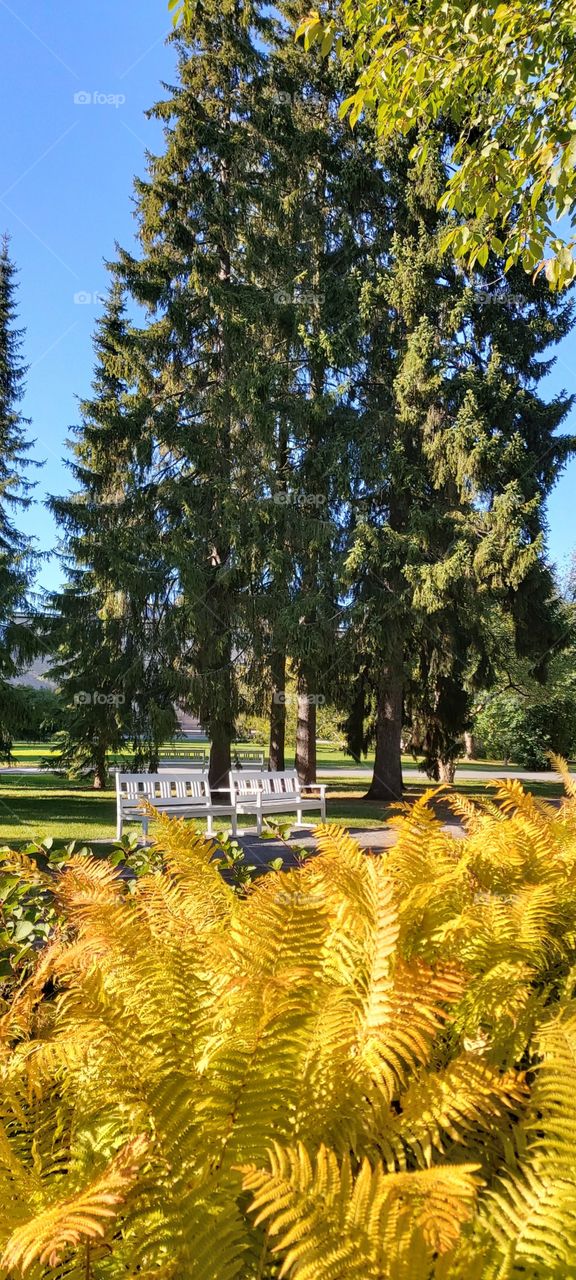 Autumn in Oulu, Finland