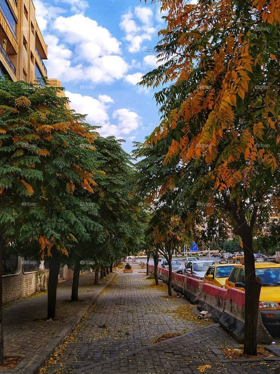 nature _Syria _damas 🇸🇾