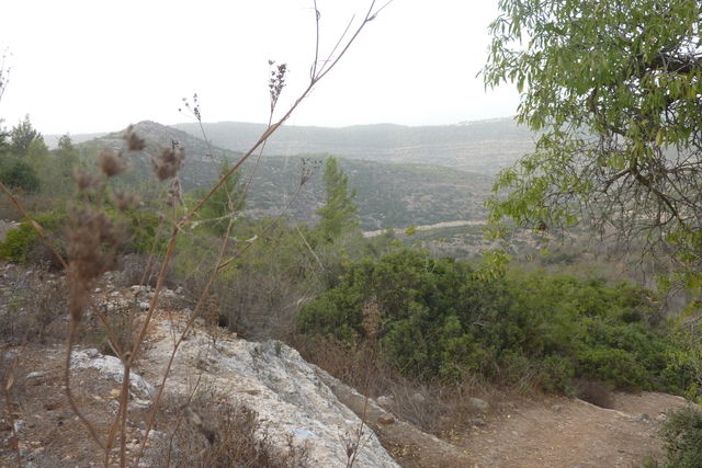 Judea Hills
