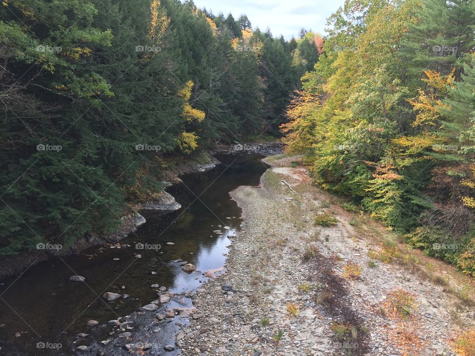 Meandering mountain stream through woodlands of Vermont in Autumn. 