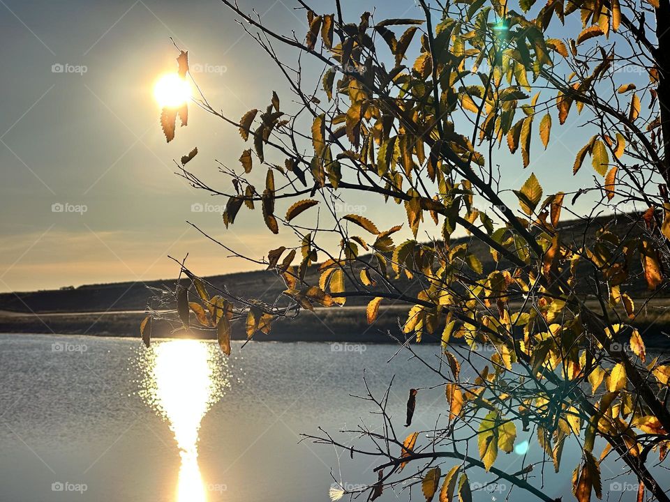 SUN OVER THE POND IN FALL