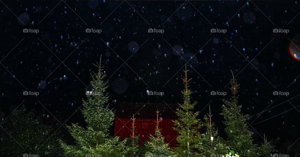 Christmas, No Person, Moon, Winter, Tree