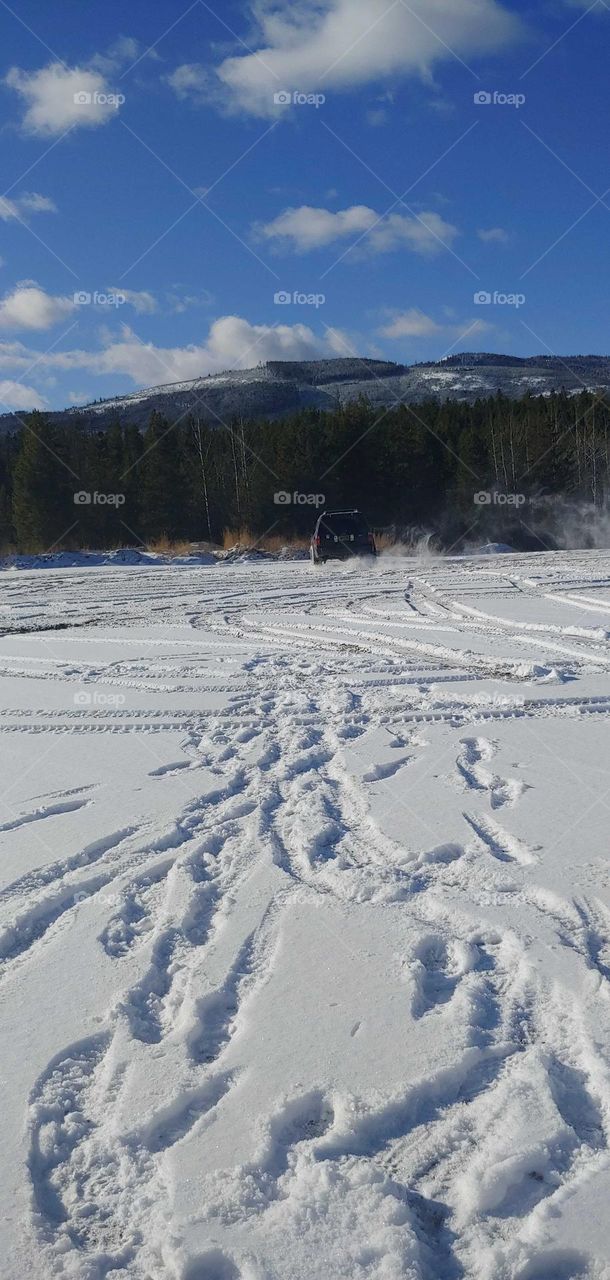 Out for some fun in the snow .Fun in nature.