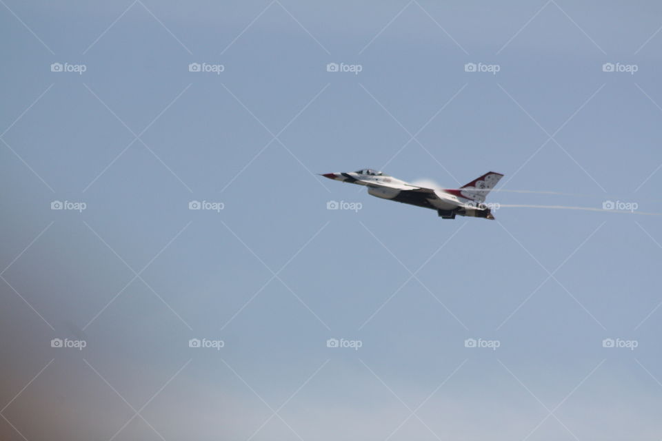 Flight, Airplane, Bird, Sky, Air