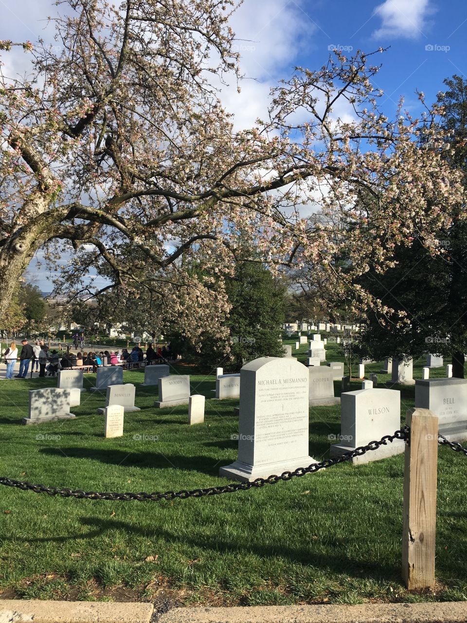 The gorgeous view of well appreciated veterans at Arlington cemetery 