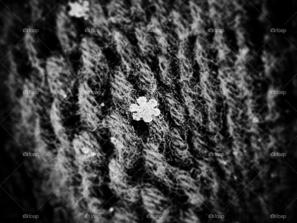 Black and white snowflake 