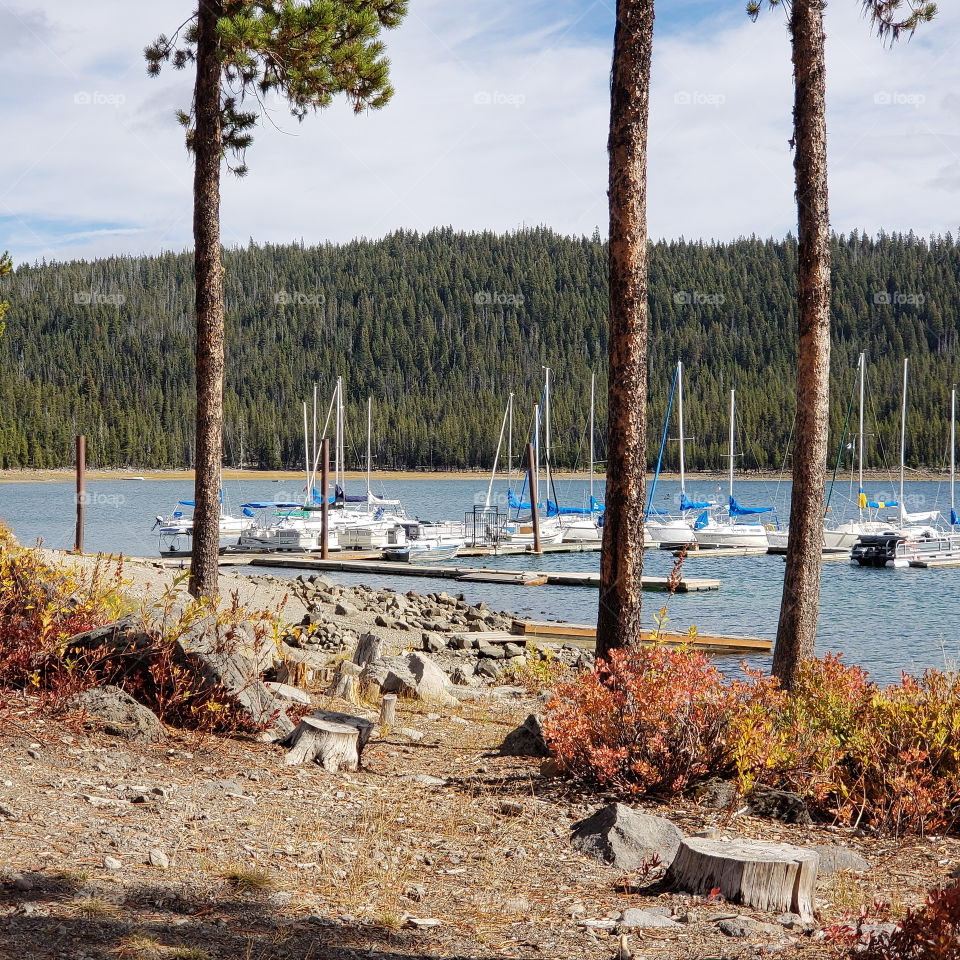 Brilliant fall colors of a landscape on the shores of Elk Lake in Oregon’s Cascade Mountains