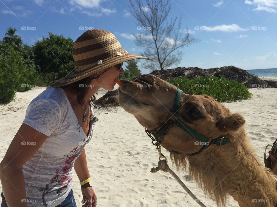 Beautiful woman feeding camel