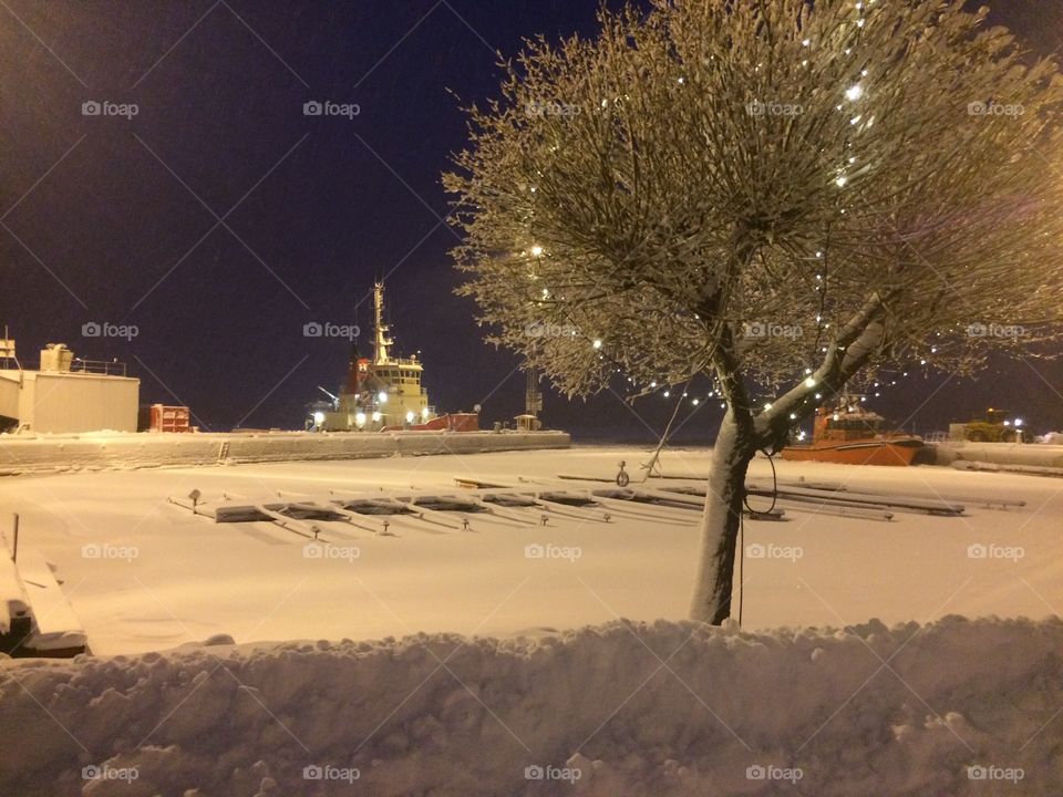 Luleå harbour by winter 
