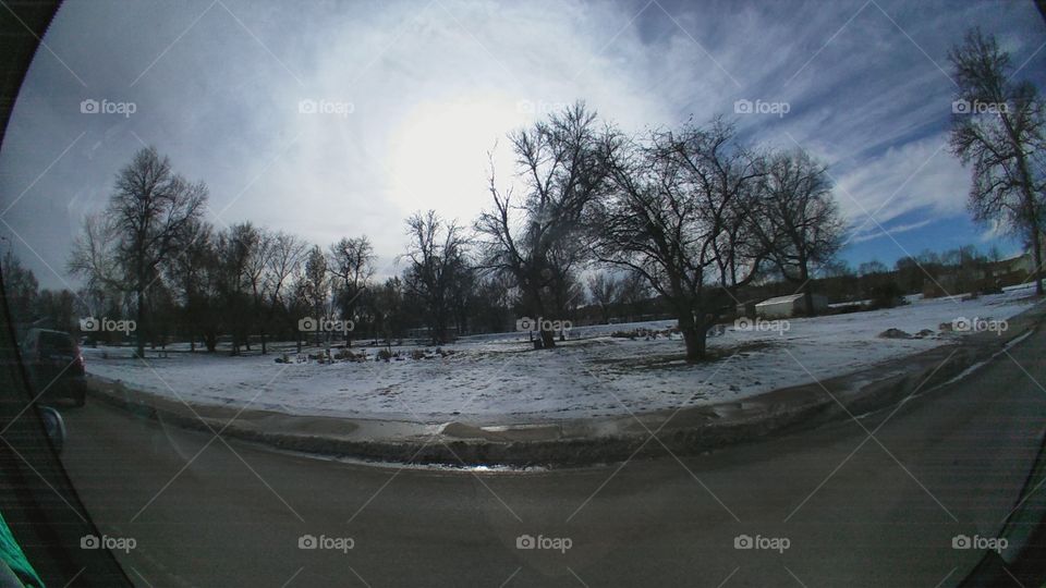 Tree, Landscape, Winter, Weather, Snow