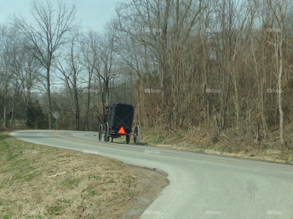 Amish buggy