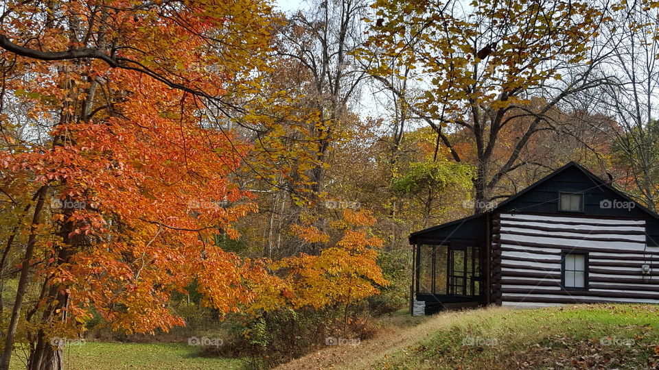 mountain cabin