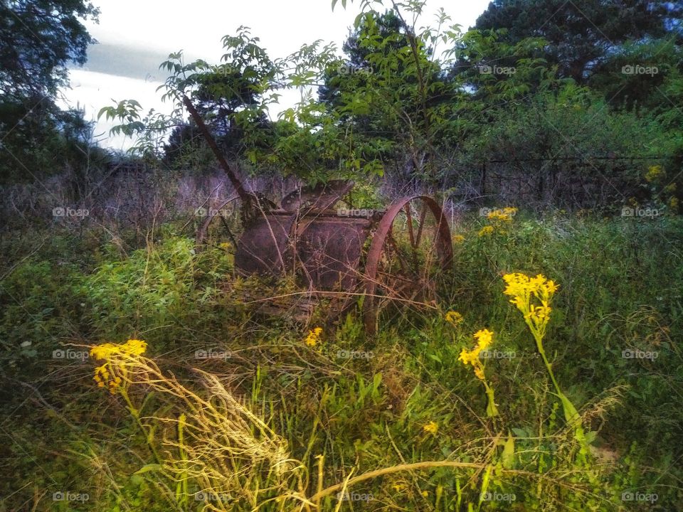 old cast iron farming equipment once pulled by horses in east texas