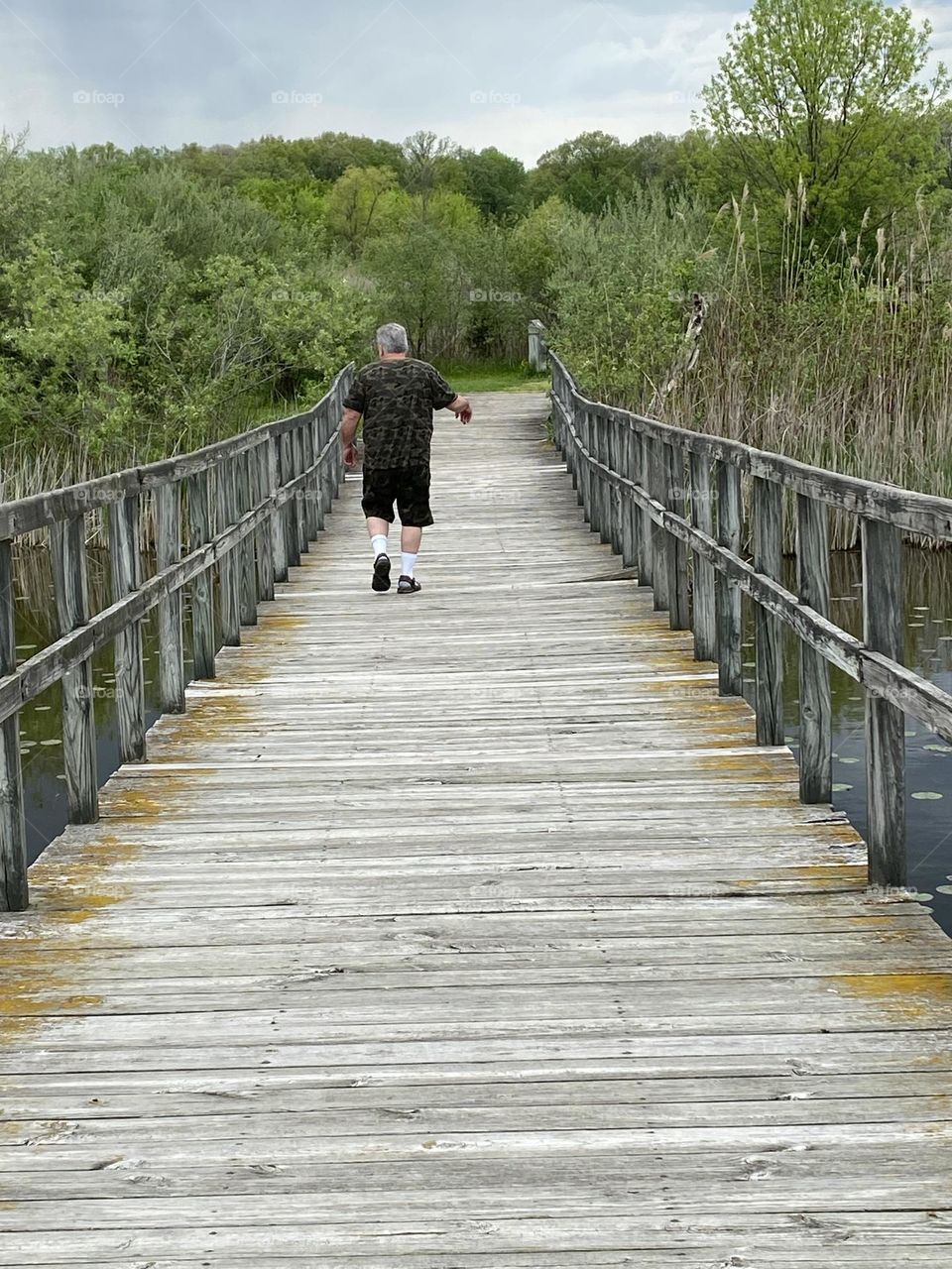 Rows of wooden planks