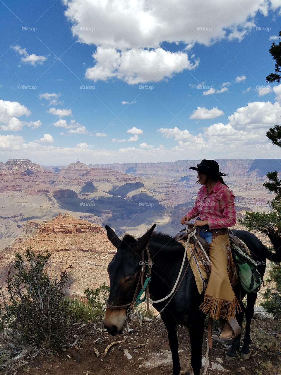 Cowgirl at Grand Canyon