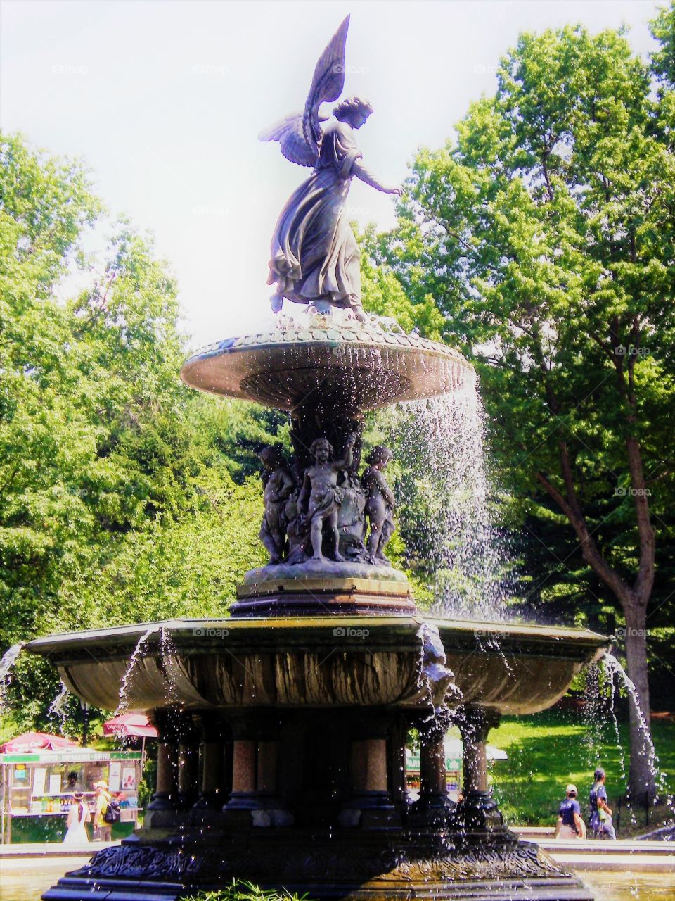 Fountain in Central Park