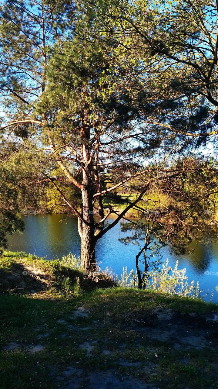 пробудження