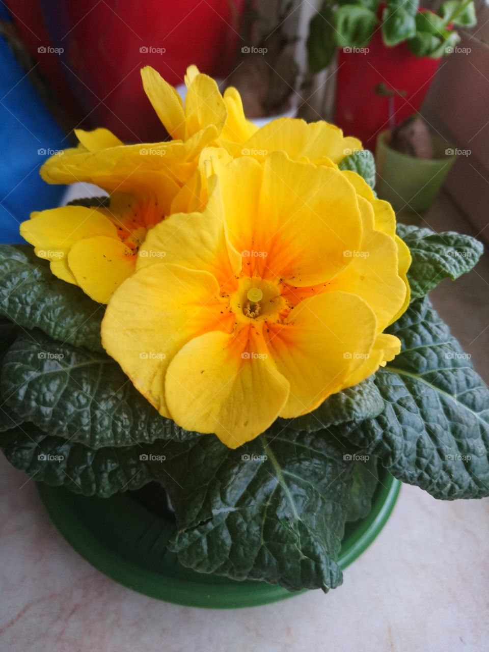 Spring is on the air