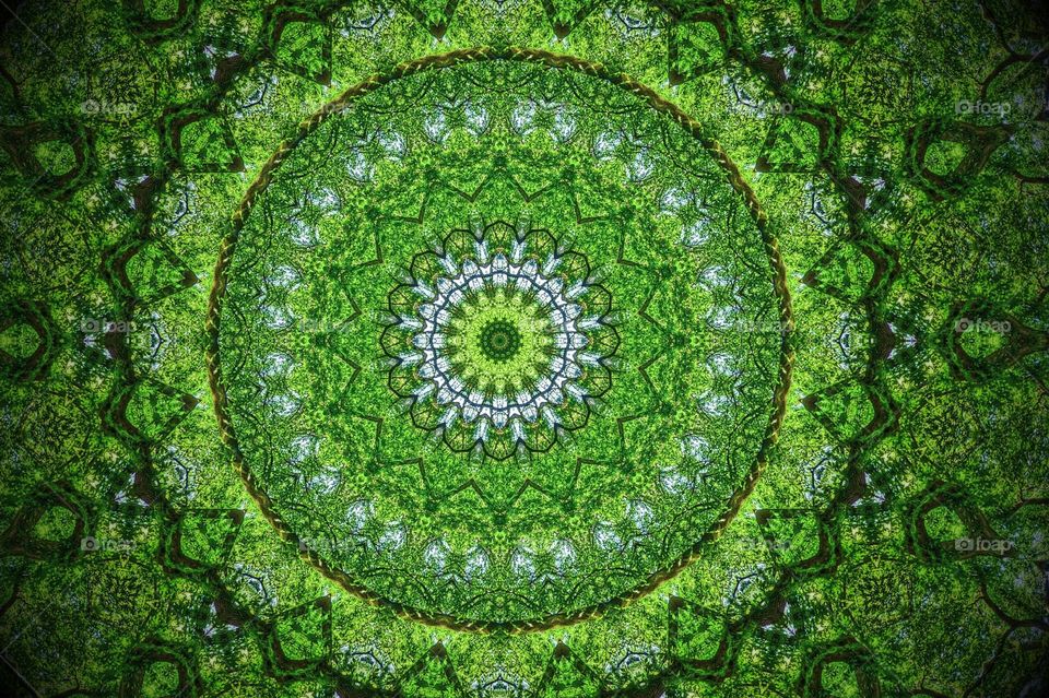 A Kaleidoscope  of Summer green leaves