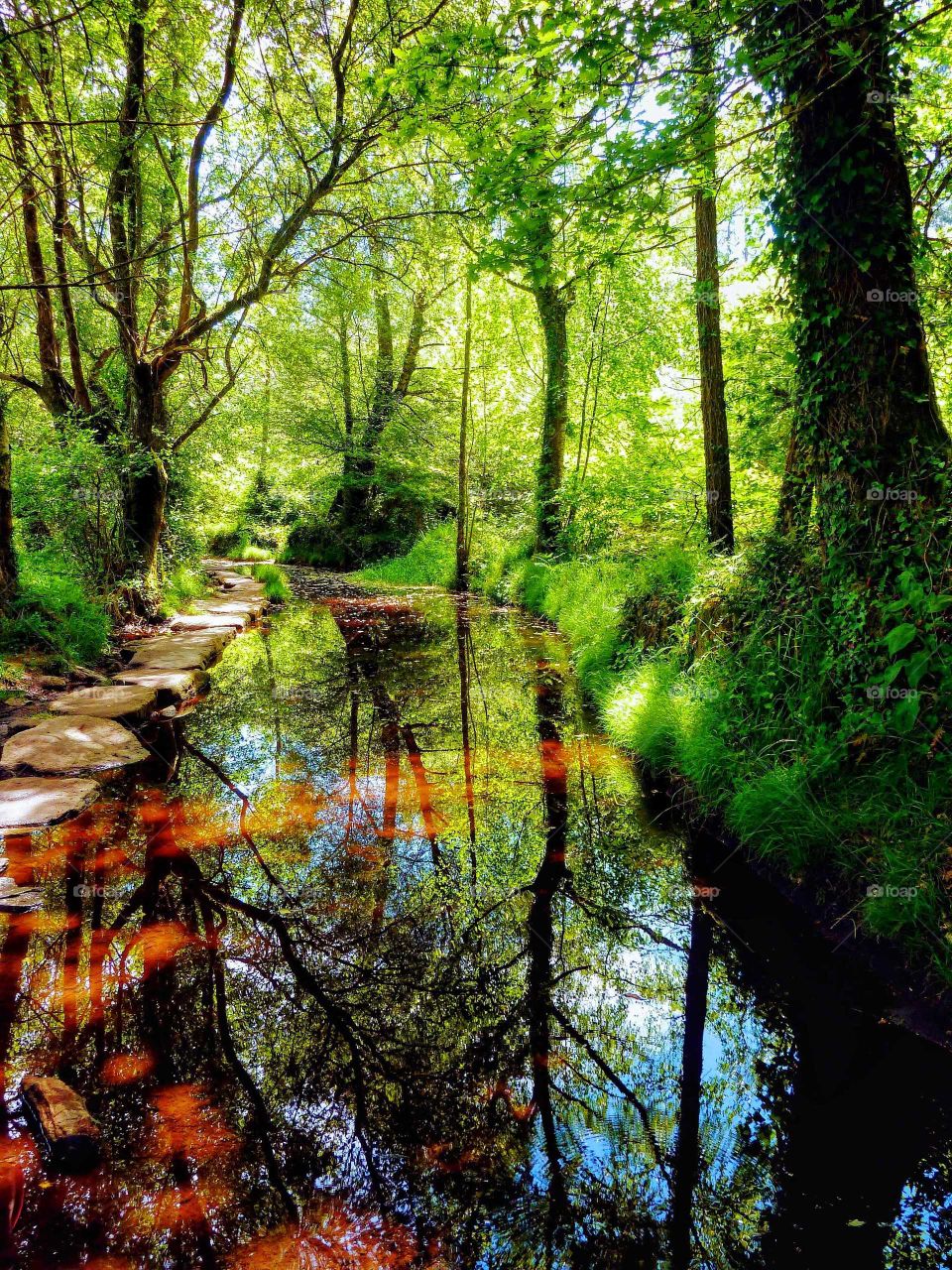 Perfect reflection on the pond; one of the most beautiful hiking trails of the "Caminho de Santiago de Compostela", Spain