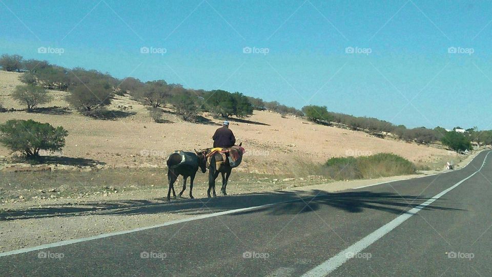 Travel destination:  a man riding on donkey.