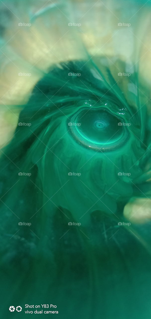 #foap #infoapartemen #foapjuly18 #foapaug18 #foapfeb18 #foapapril17 #foapers #foapjune18 #fotografoaprendiz #sfoapprentices #foaper #infoapartment #foapmission #foapmay18 #foapapr18 #foapit #infoaplikasipaytren #infoapple #foapom #foapjan19 #infoapp