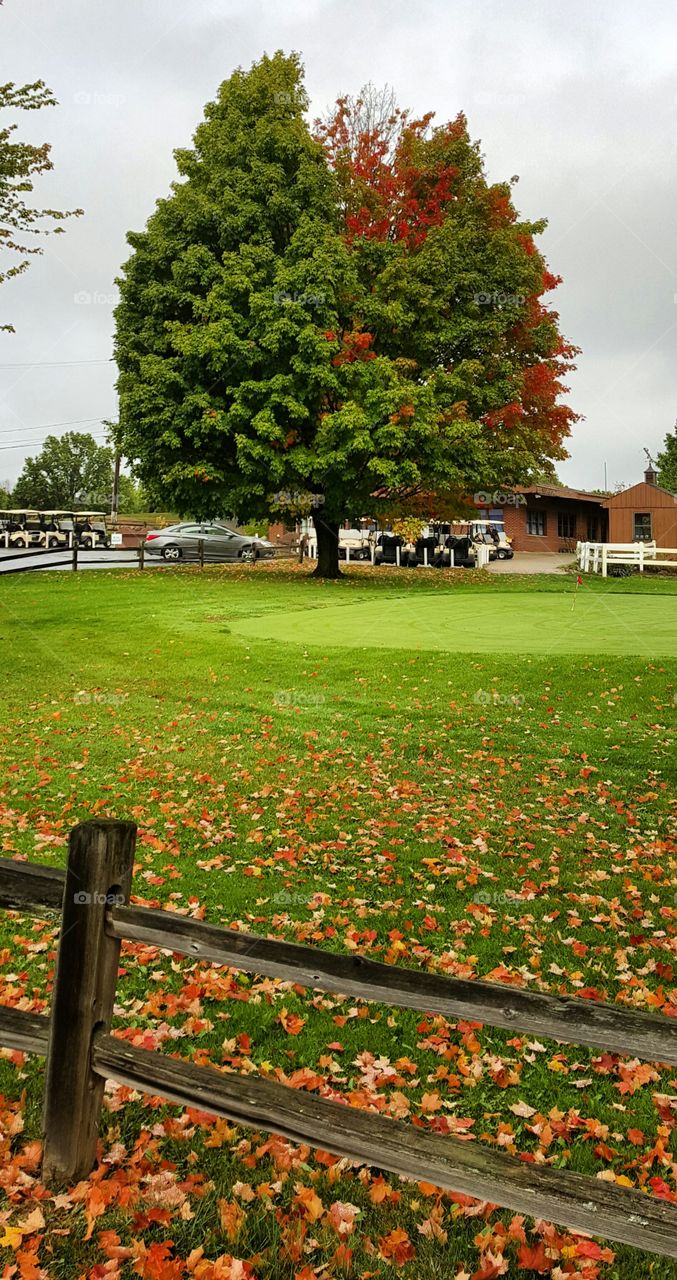 Fall 2015. Fall starting in Kent, OH