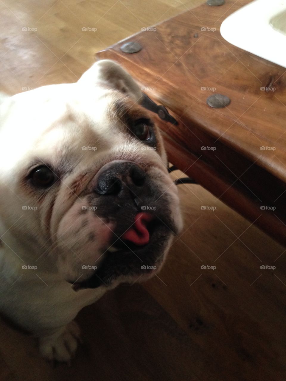 How cute and funny! :)