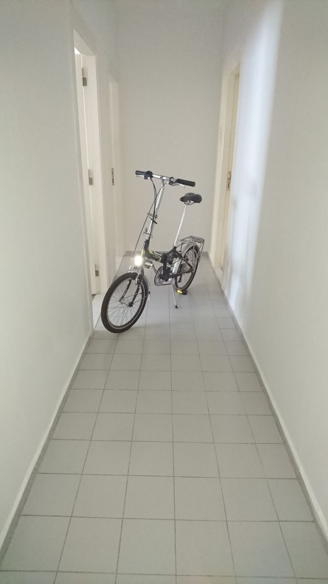 shining bike