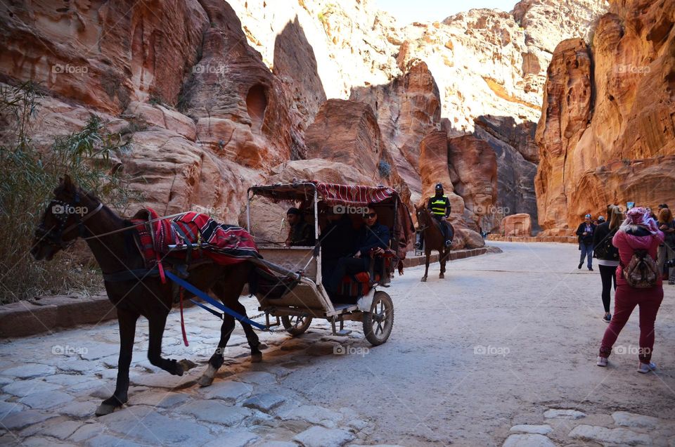 Road Trip, Petra, Jordan