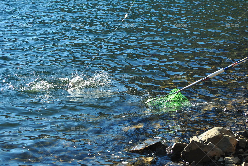 Catching a fish by the lake