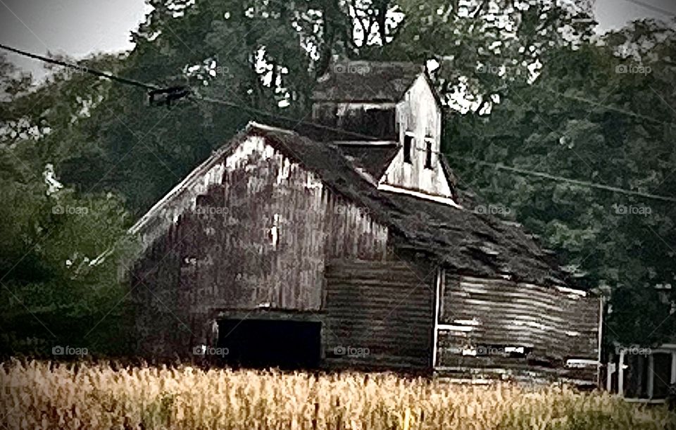 The forgotten barn