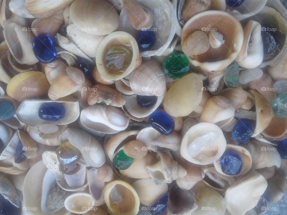 Se a shells